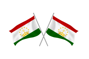 Tajikistan Waving Friendship Flag flag