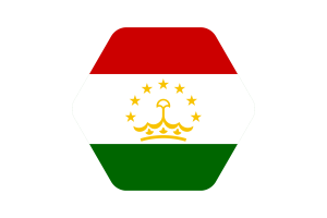 Tajikistan Flag Vector Illustration flag