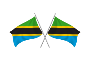 Tanzania Waving Friendship Flag flag