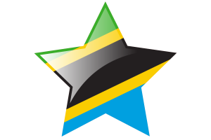 Tanzania Flag Star Icon flag