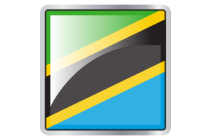 Tanzania Flag Square icon flag