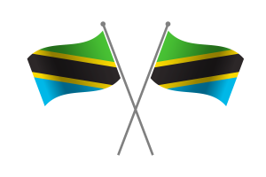 Tanzania Friendship Flag flag