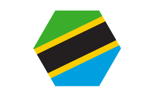 Tanzania Flag Vector Free | SVG and PNG flag