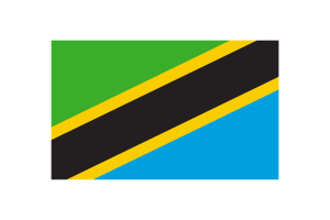 Tanzania Flag Triangle Vector Illustration flag