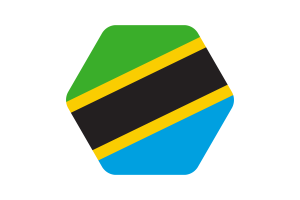 Tanzania Flag Vector Illustration flag