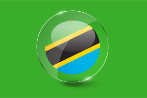 Tanzania Flag Glossy Round Button flag