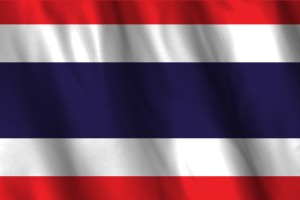 National Flag of Tanzania flag