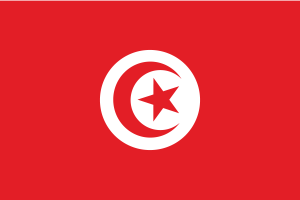 Flag of Tunisia flag