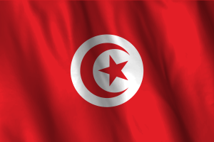 National Flag of Tunisia flag