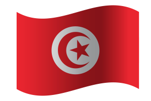 Republic of Tunisia flag