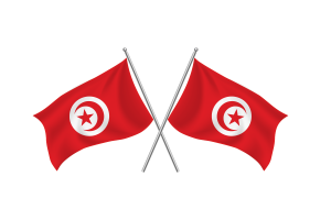 Tunisia Waving Friendship Flag flag