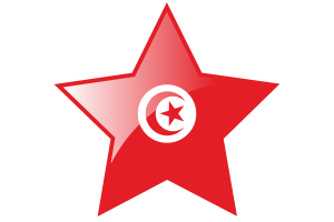 Tunisia Flag Star Icon flag