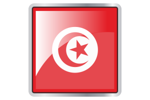 Tunisia Flag Square icon flag
