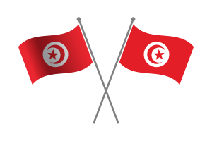 Tunisia Friendship Flag flag