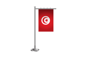 3d Tunisia Standing Flag flag