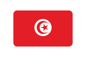 Tunisia Flag Triangle Rounded Shape flag