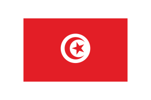 Tunisia Flag Triangle Vector Illustration flag