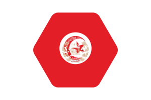Tunisia Flag Vector Illustration flag