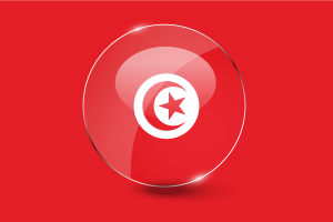 Tunisia Flag Glossy Round Button flag