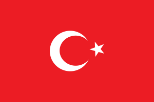 Flag of Turkey flag