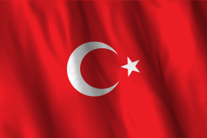 National Flag of Turkey flag
