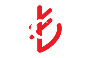 Turkey Currency icon flag