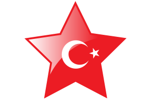 Turkey Flag Star Icon flag