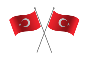 Turkey Friendship Flag flag