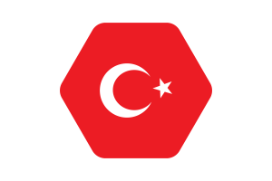 Turkey Flag Vector Illustration flag