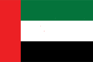 Flag of United Arab Emirates flag