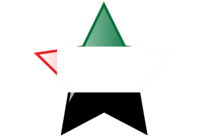 United Arab Emirates Flag Star Icon flag