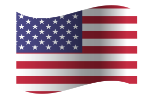 Stati Uniti d'America flag