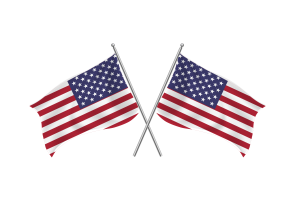 Bandiera dell'amicizia degli Stati Uniti d'America sventolante flag