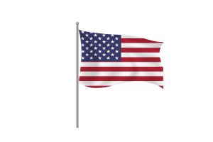 Clipart della bandiera degli Stati Uniti d'America flag