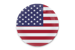 Arte vettoriale della bandiera degli Stati Uniti d'America flag