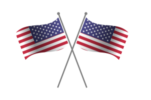 Bandiera dell'Amicizia degli Stati Uniti d'America flag