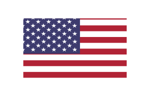 Illustrazione Vettoriale della Bandiera degli Stati Uniti d'America Triangolare flag