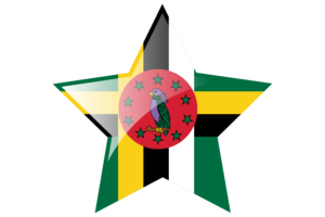 Dominica Flag Star Icon flag
