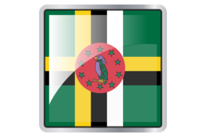 Dominica Flag Square icon flag