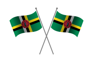 Dominica Friendship Flag flag