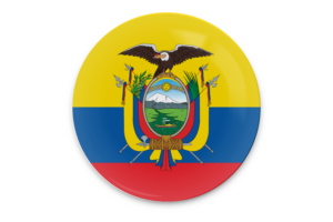 Ecuador Flag Vector Art flag