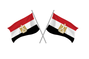Egypt Waving Friendship Flag flag