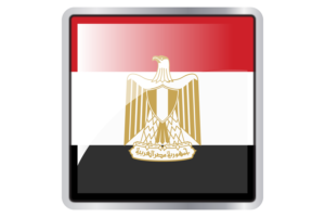 Egypt Flag Square icon flag