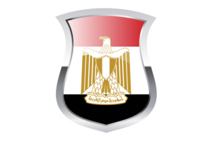 Egypt Pride Flag flag