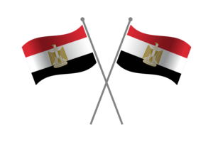 Egypt Friendship Flag flag