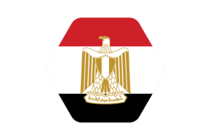 Egypt Flag Vector Illustration flag