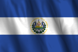 National Flag of Ecuador flag