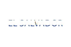 Ecuador Text Art flag