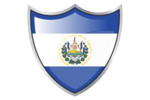 Shield with Flag of Ecuador flag