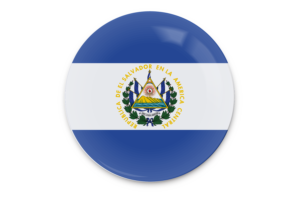 Ecuador Flag Vector Art flag